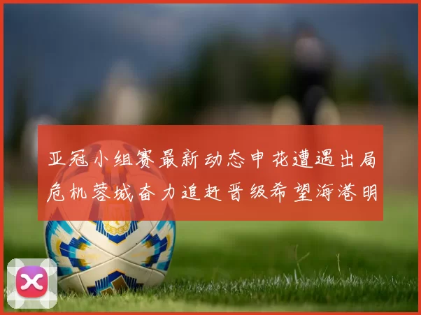 亚冠小组赛最新动态申花遭遇出局危机蓉城奋力追赶晋级希望海港明日迎战挑战