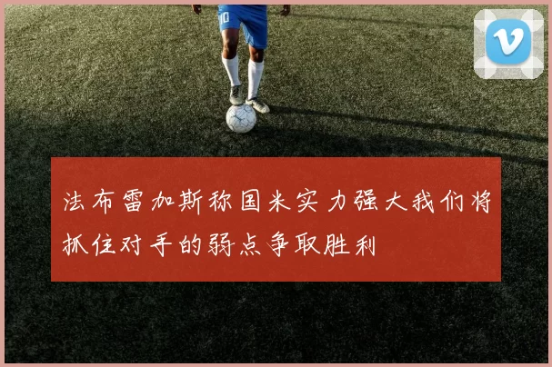 法布雷加斯称国米实力强大我们将抓住对手的弱点争取胜利